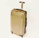 Samsonite Black Label, �������� �� ������, g20.96.087